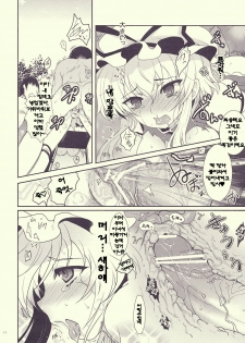 (Reitaisai 07) [Kuma-tan Flash! (Hanao)] Mebius：loop＋Omake (Touhou Project) [Korean] - page 14