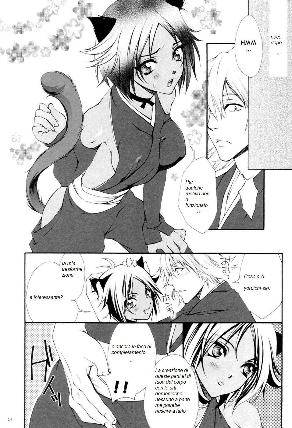 (C68) [Aozora Yuugi (Chin Chin)] Josei Shinigami Kyoukai Shisetsu Shienbu Kaihou (Bleach) [Italian] [sscn] page 13 full