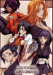 (C68) [Aozora Yuugi (Chin Chin)] Josei Shinigami Kyoukai Shisetsu Shienbu Kaihou (Bleach) [Italian] [sscn]