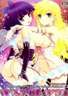 (C79) [Daizu Azuki (Kuroda Akimi)] WILD HEAVEN (Panty & Stocking with Garterbelt) [Chinese] [final個人漢化]