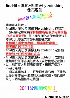 (SC34) [Digital Flyer (Oota Yuuichi)] LTF (Lelouch The Fullpower) (Code Geass: Lelouch of the Rebellion) [Chinese] [final個人漢化] - page 13