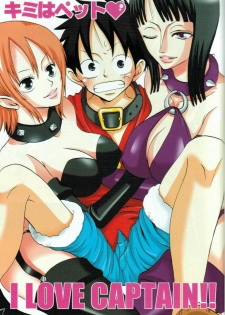 (C66) [PINK STAR (Urazawa Kaoru)] Kimi wa Pet (One Piece) - page 3