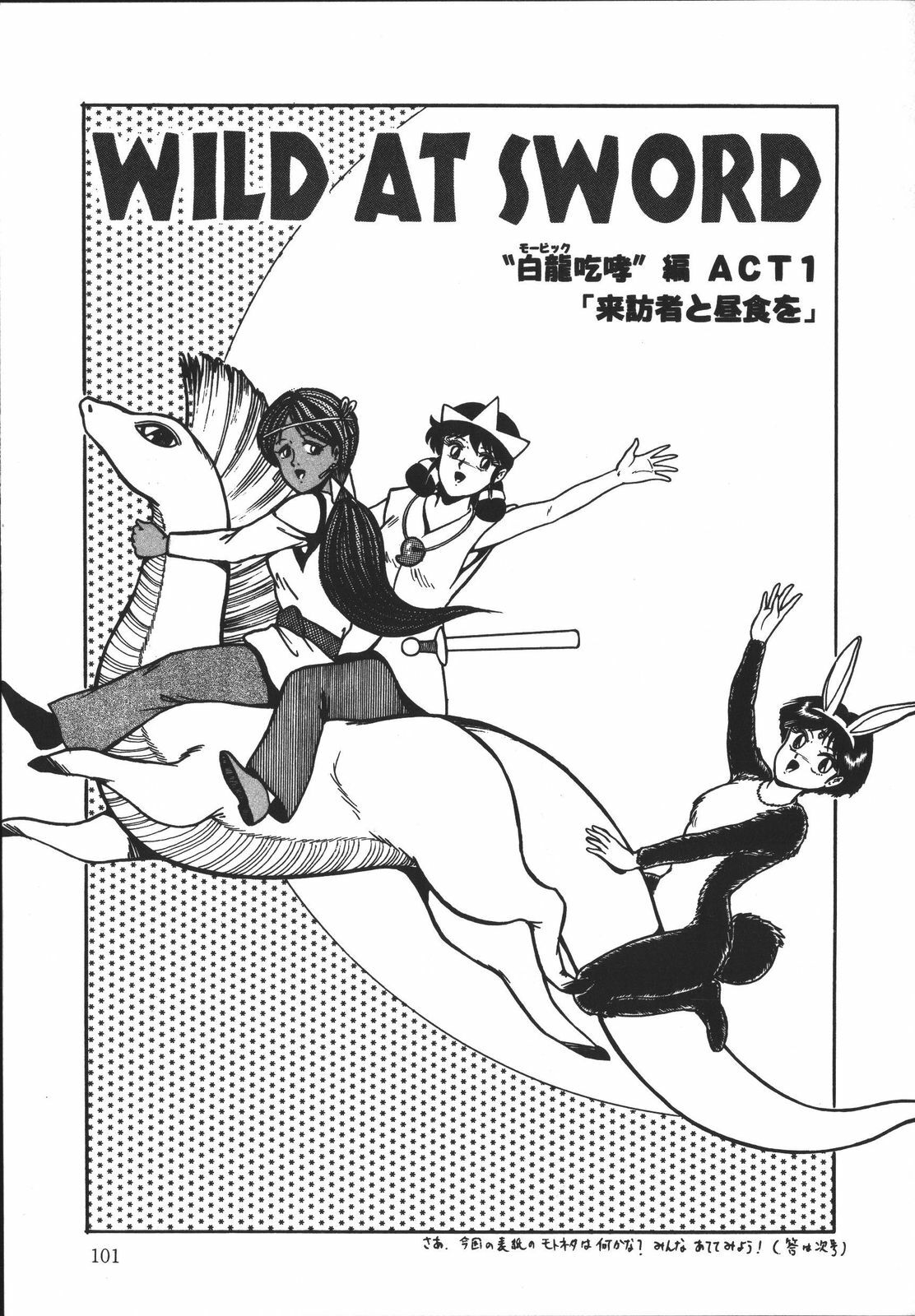 [Tarumoto Hajime] Wild at Sword page 100 full