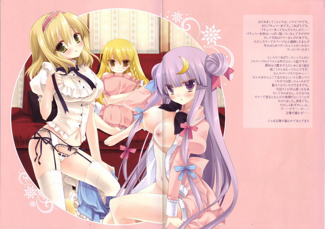 (C80) [D.N.A.Lab. (Miyasu Risa)] STRIPE WITCH's PINKSHOW (Touhou Project) page 5 full
