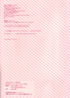 (C80) [D.N.A.Lab. (Miyasu Risa)] STRIPE WITCH's PINKSHOW (Touhou Project) - page 23