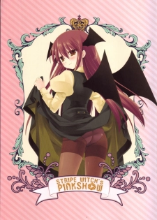 (C80) [D.N.A.Lab. (Miyasu Risa)] STRIPE WITCH's PINKSHOW (Touhou Project) - page 4