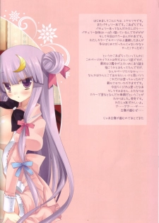 (C80) [D.N.A.Lab. (Miyasu Risa)] STRIPE WITCH's PINKSHOW (Touhou Project) - page 6