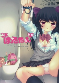 (C80) [Chemical Janky (Shiori)] JK Hatatan (Touhou Project)
