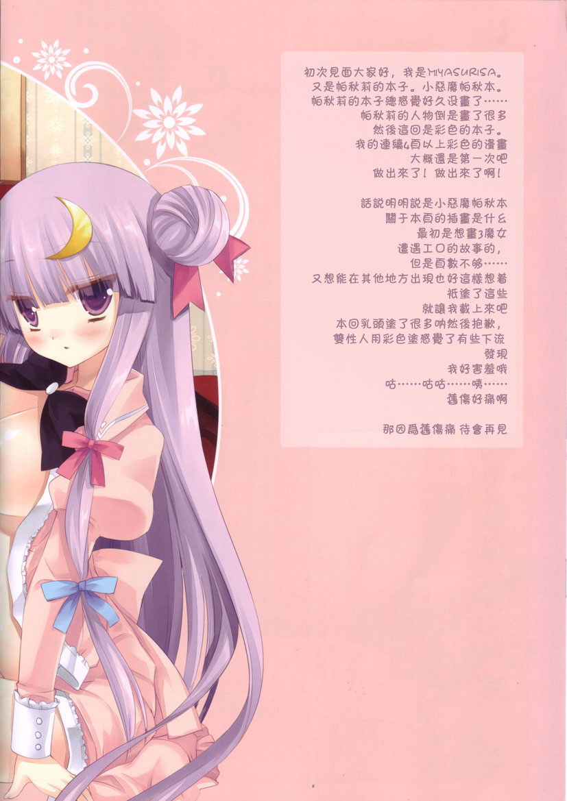 (C80) [D.N.A.Lab. (Miyasu Risa)] STRIPE WITCH's PINKSHOW (Touhou Project) [Chinese] page 4 full