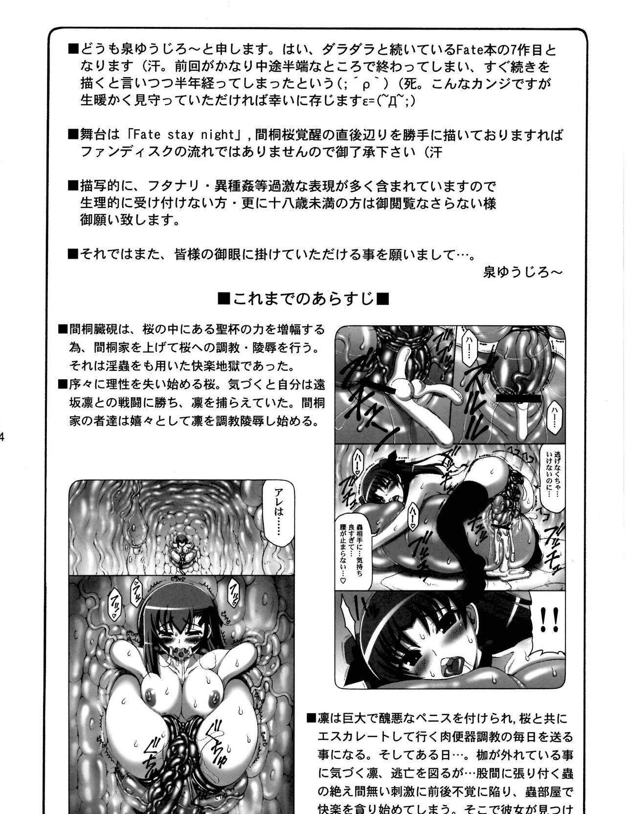 (C80) [Abarenbow Tengu (Izumi Yuujiro)] Kotori 7 (Fate/stay night) [English] [SaHa] page 3 full