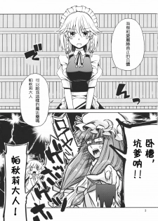 (Reitaisai 8) [Nantoka Ikitemasu. (Megumiya)] Kanzen de Shousha na Juusha wa D.T. nanoka? (Touhou Project) [Chinese] [喵玉汉化] - page 4