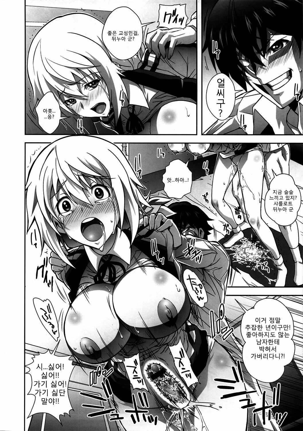 (COMIC1☆5) [Kamoro-Sa-Z (Migiyori, Oobanburumai)] Infinite DoStratos (IS ) [Korean] [Team Ouroboros] page 15 full