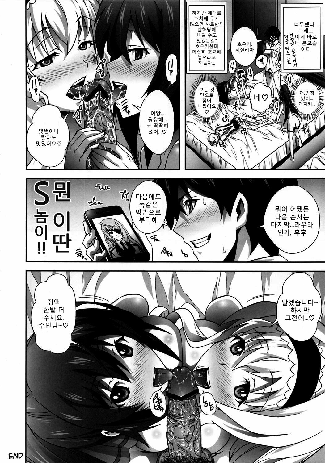 (COMIC1☆5) [Kamoro-Sa-Z (Migiyori, Oobanburumai)] Infinite DoStratos (IS ) [Korean] [Team Ouroboros] page 19 full