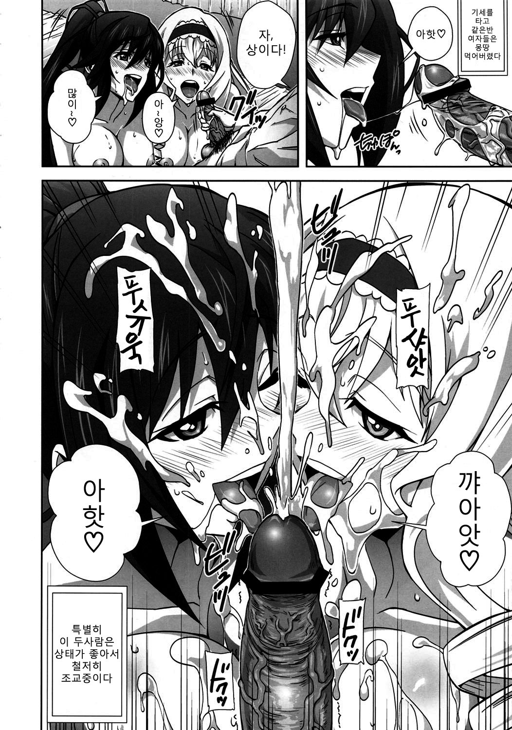 (COMIC1☆5) [Kamoro-Sa-Z (Migiyori, Oobanburumai)] Infinite DoStratos (IS ) [Korean] [Team Ouroboros] page 5 full