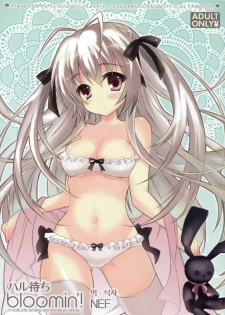 (SC51) [8%milk. (Utase Yui)] Harumachi bloomin'! (Yosuga no Sora) [Korean] [NEF]