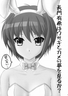 (C71) [U.R.C (Momoya Show-Neko)] Nagato Yuki wa Usagi to Kame no Yume o Miru ka? (Suzumiya Haruhi no Yuuutsu) - page 2