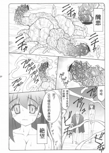 (C68) [Abarenbow Tengu (Izumi Yuujiro)] Kotori (Fate/stay night) [Chinese] [L君] - page 6