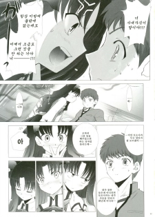 (CR35) [Crazy Clover Club (Shirotsumekusa)] T-MOON COMPLEX 3 (Fate/stay night) [Korean] - page 10
