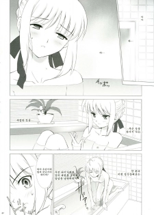 (CR35) [Crazy Clover Club (Shirotsumekusa)] T-MOON COMPLEX 3 (Fate/stay night) [Korean] - page 41
