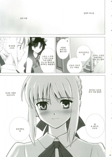 (CR35) [Crazy Clover Club (Shirotsumekusa)] T-MOON COMPLEX 3 (Fate/stay night) [Korean] - page 48