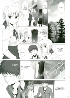 (CR35) [Crazy Clover Club (Shirotsumekusa)] T-MOON COMPLEX 3 (Fate/stay night) [Korean] - page 8