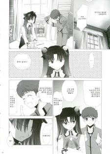 (CR35) [Crazy Clover Club (Shirotsumekusa)] T-MOON COMPLEX 3 (Fate/stay night) [Korean] - page 9