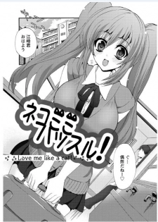[Sansyoku Amido.] Koimimi - page 5