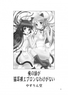 [YASRIN-DO (Yasu Rintarou)] Ore no Imouto ga Nekomimi Hadaka Apron na Wake ga Nai (Ore no Imouto ga Konna ni Kawaii Wake ga Nai) [Spanish] [Koi Subs] [Digital] - page 2