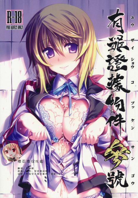 (C80) [Himura Nyuugyou (Himura Kiseki)] Yuuzai Shouko Bukken Sangou (IS ) [Chinese] [修正液汉化组]