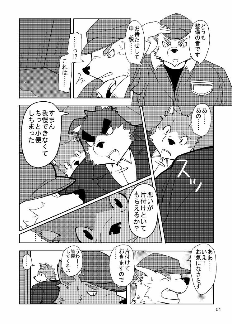 Replace page 53 full