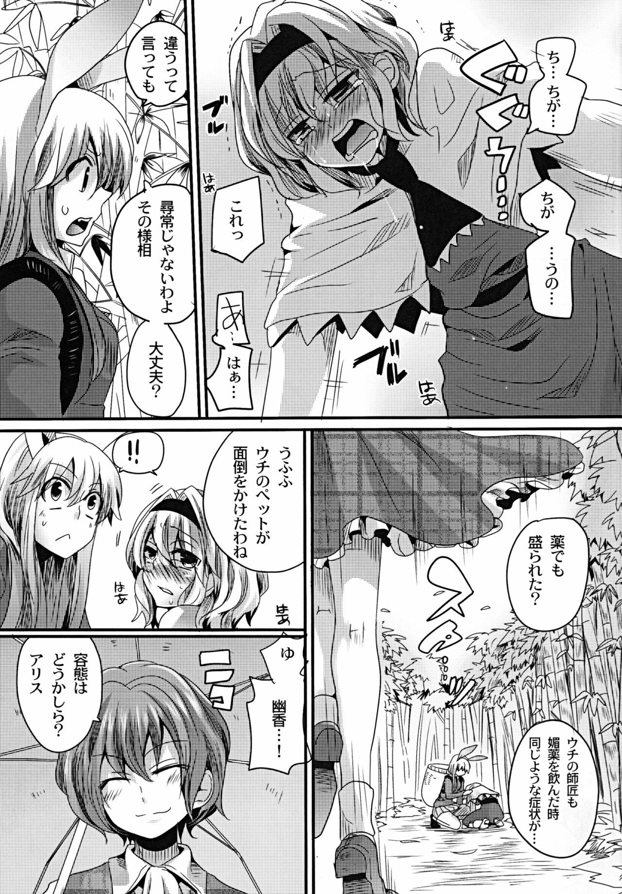 [DOUMOU (DOUMOU)] Yuuka ga Do S de Alice ga M de (Touhou Project) [Digital] page 12 full