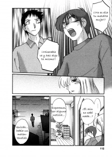 [TsuyaTsuya] Tatoeba Haha Ga 4 [Spanish] [Hitsuzen] - page 25