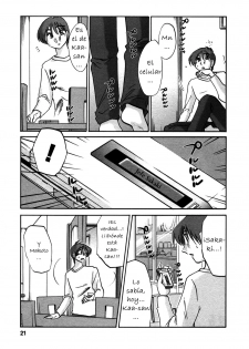[TsuyaTsuya] Tatoeba Haha Ga 6 [Spanish] [Hitsuzen] - page 21