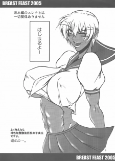 (C69) [bash-inc (BASH)] Breast Feast 2005 (Street Fighter) - page 5