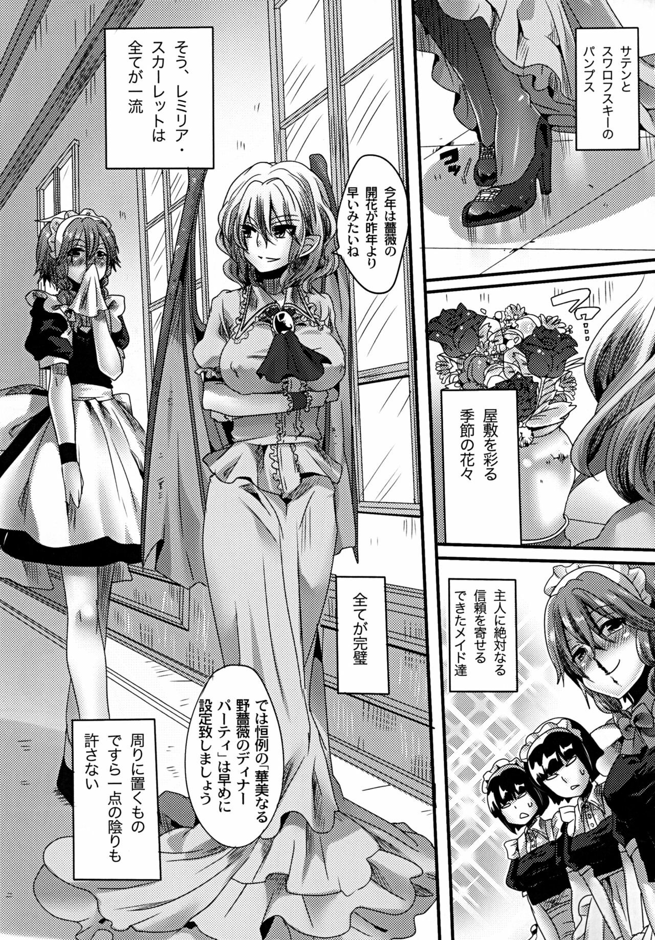 [DOUMOU (Doumou)] Otonaka FlaRemi Hon (Touhou Project) [Digital] page 3 full