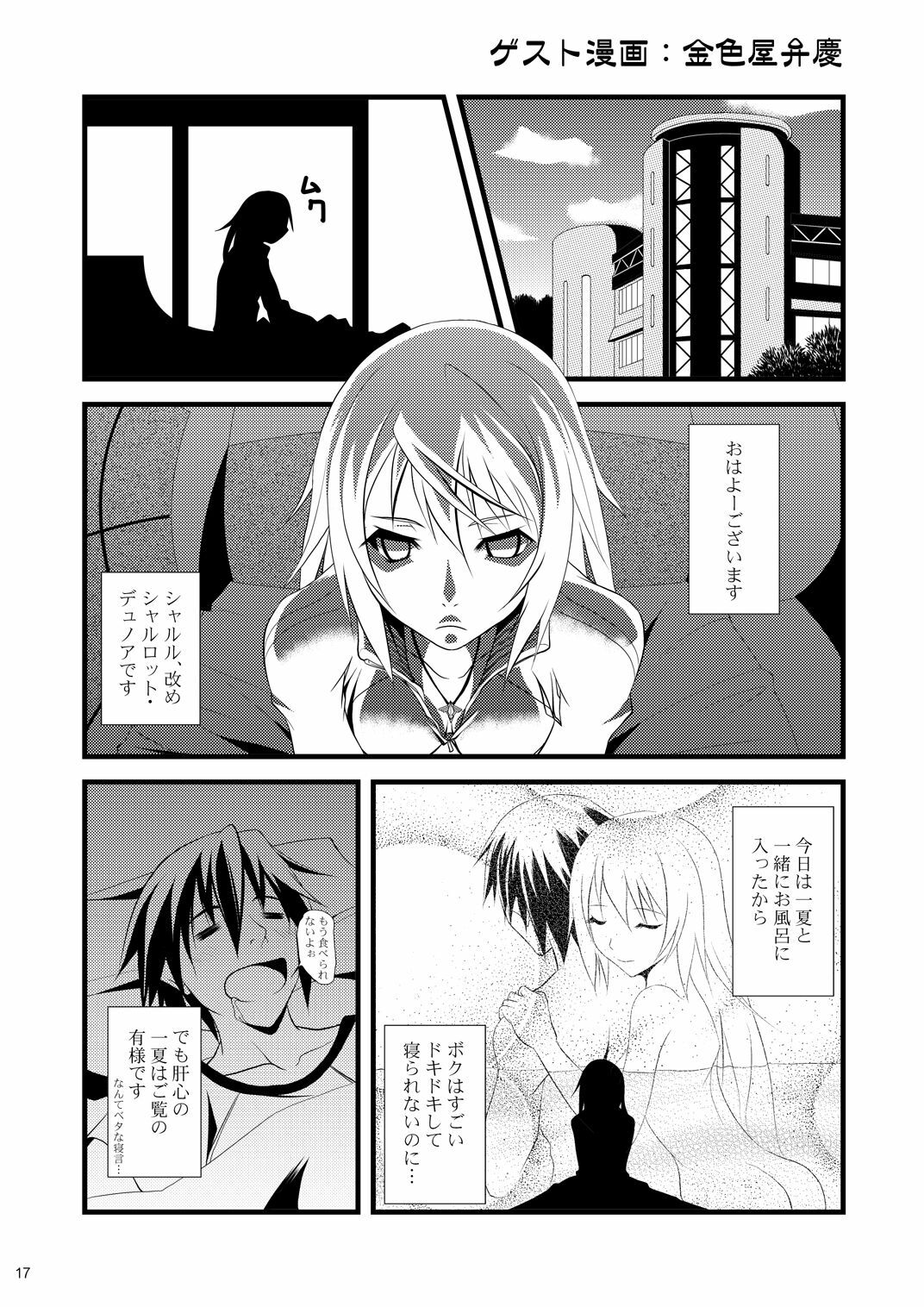 (SC51) [Raiden Yashiki (Yamaura Tamaki)] √ Char (Infinite Stratos) page 16 full