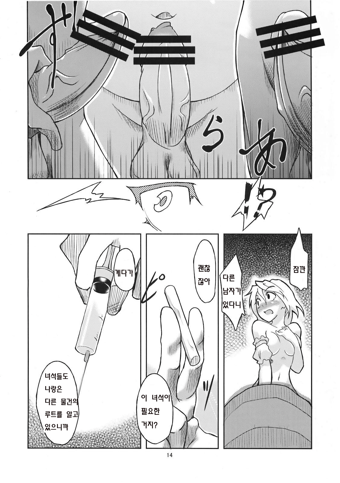 (C78) [Gokusaishiki (Aya Shachou)] Mary married Mary Jane (Touhou Project) [Korean] page 15 full