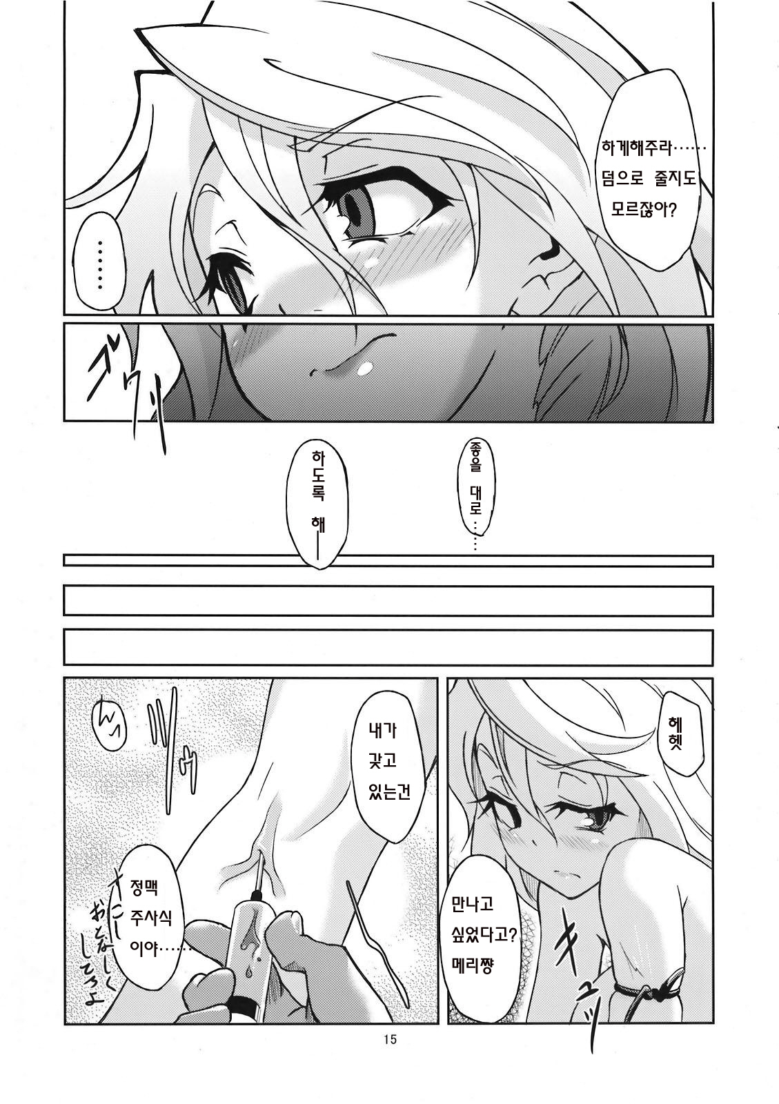 (C78) [Gokusaishiki (Aya Shachou)] Mary married Mary Jane (Touhou Project) [Korean] page 16 full
