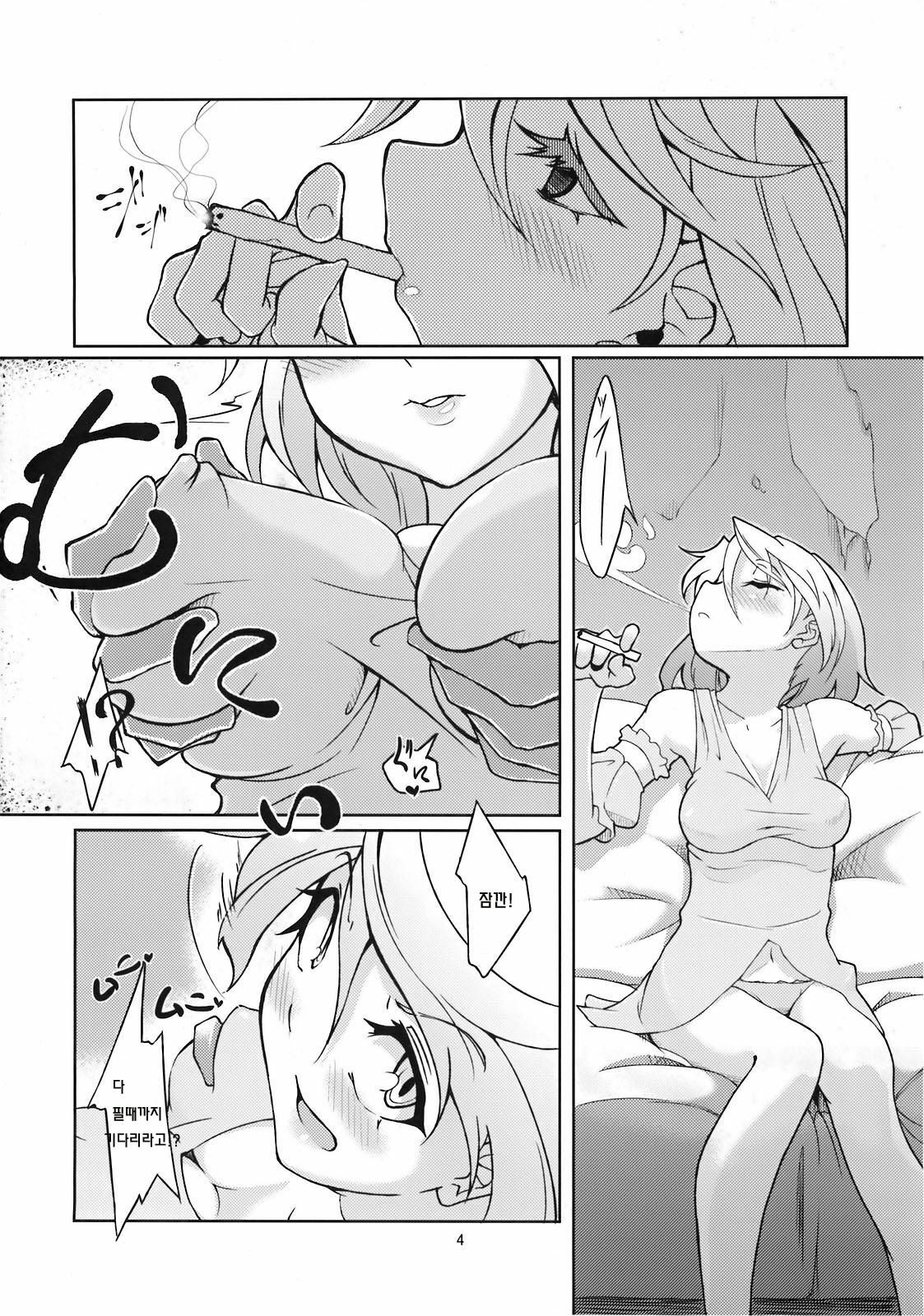 (C78) [Gokusaishiki (Aya Shachou)] Mary married Mary Jane (Touhou Project) [Korean] page 5 full