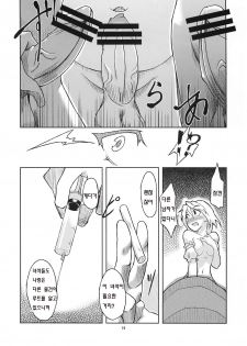 (C78) [Gokusaishiki (Aya Shachou)] Mary married Mary Jane (Touhou Project) [Korean] - page 15
