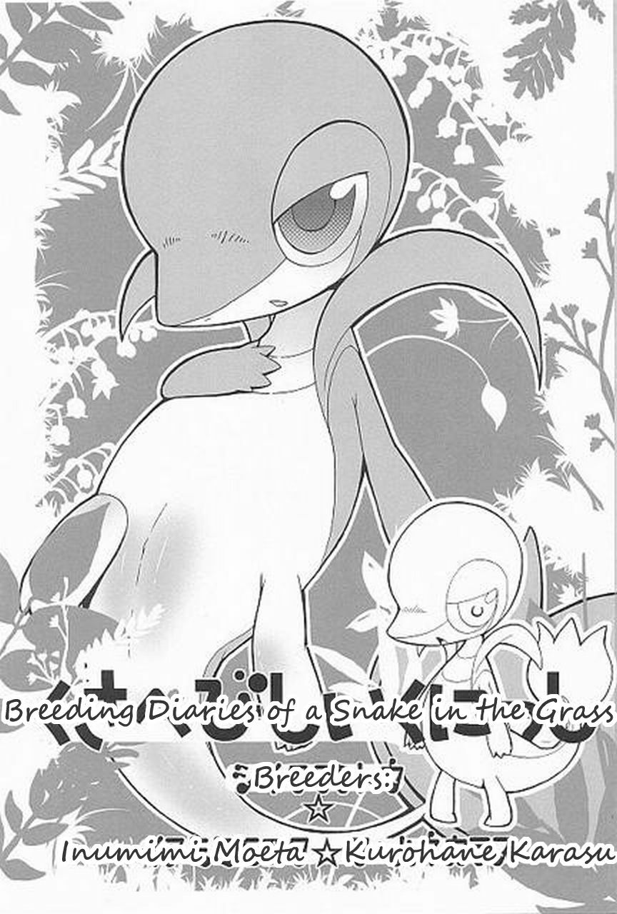 (Fur-st) [Dogear (Inumimi Moeta, Kurou Karasu)] Tsutahebishiiku Nisshi | Breeding Diaries of a Snake in the Grass (Pokémon) [English] [Twilight Stormshi] page 3 full