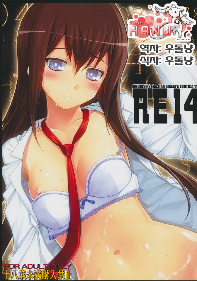 (C80) [RUBBISH Selecting Squad (Namonashi)] RE 14 (Steins;Gate) [Korean] [Team HA-NU] page 1 full
