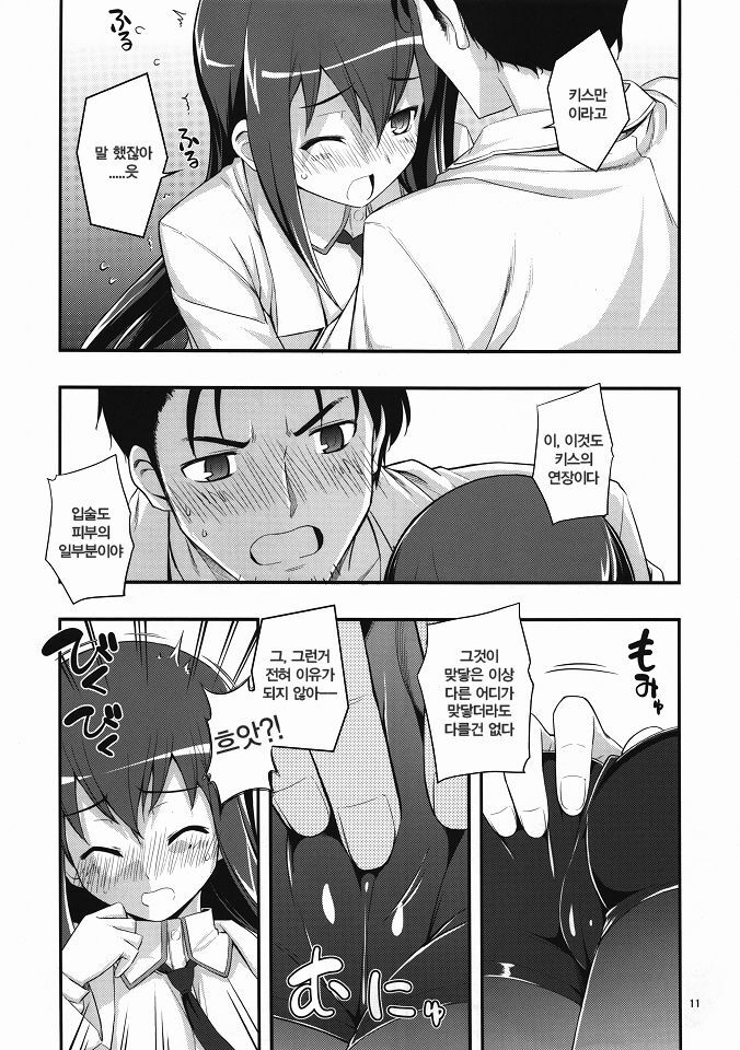 (C80) [RUBBISH Selecting Squad (Namonashi)] RE 14 (Steins;Gate) [Korean] [Team HA-NU] page 10 full