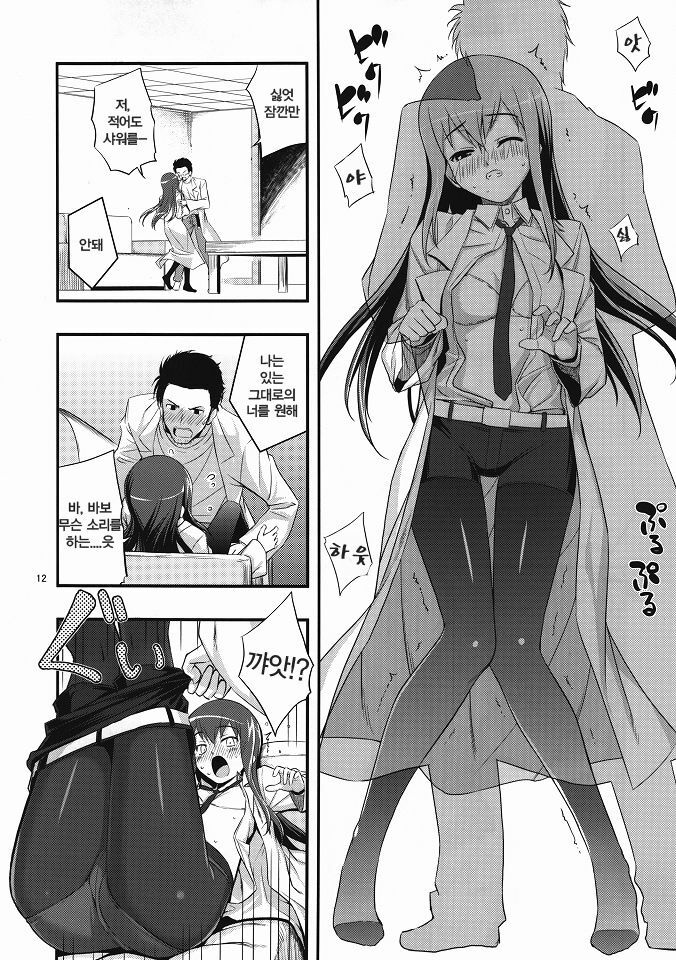 (C80) [RUBBISH Selecting Squad (Namonashi)] RE 14 (Steins;Gate) [Korean] [Team HA-NU] page 11 full