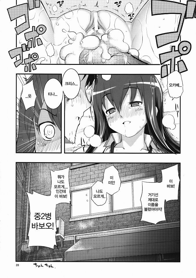 (C80) [RUBBISH Selecting Squad (Namonashi)] RE 14 (Steins;Gate) [Korean] [Team HA-NU] page 27 full