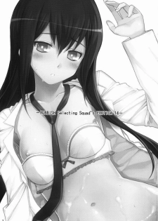 (C80) [RUBBISH Selecting Squad (Namonashi)] RE 14 (Steins;Gate) [Korean] [Team HA-NU] - page 2