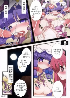 (C79) [Eclipse (Oborozuki)] seed (Touhou Project) (korean) - page 15