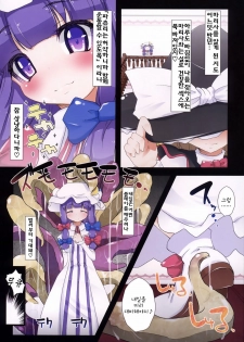 (C79) [Eclipse (Oborozuki)] seed (Touhou Project) (korean) - page 2