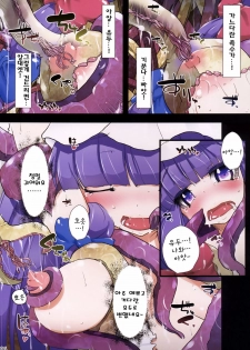 (C79) [Eclipse (Oborozuki)] seed (Touhou Project) (korean) - page 6