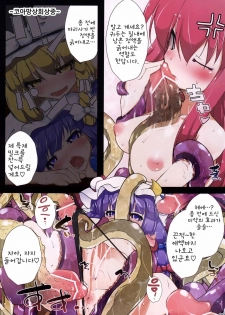 (C79) [Eclipse (Oborozuki)] seed (Touhou Project) (korean) - page 9